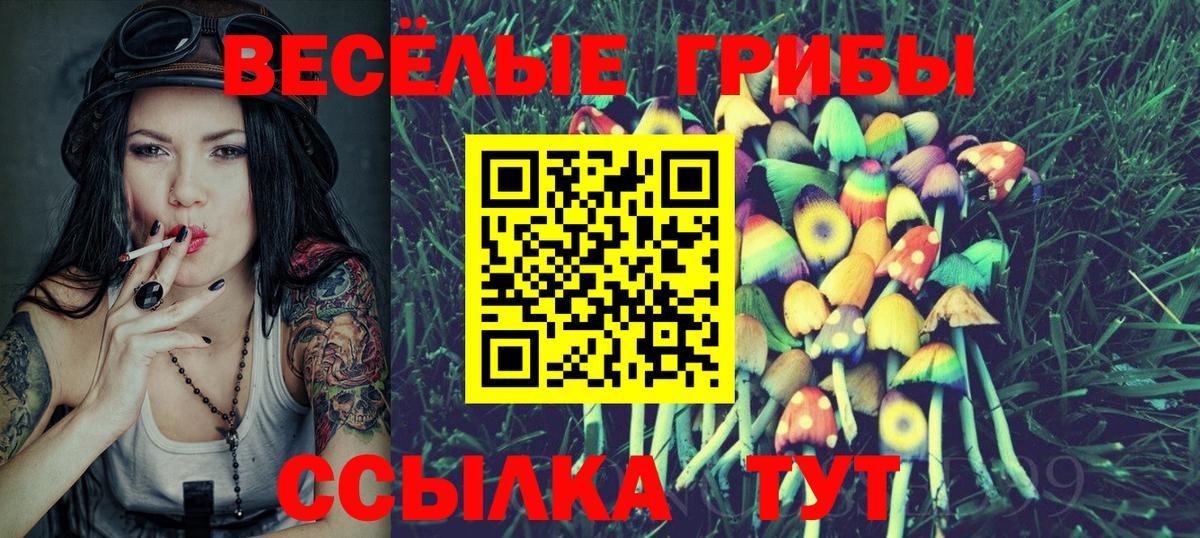 Псилоцибиновые грибы прущие грибы  Вход с VPN  продажа наркотиков  Карпинск 